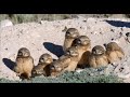 Understanding Nature Through Observation