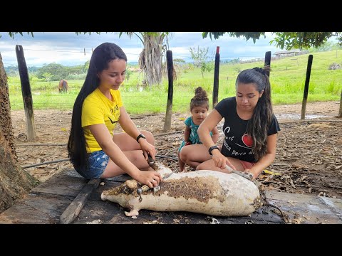 CARNE DE PORCO NA LATA.