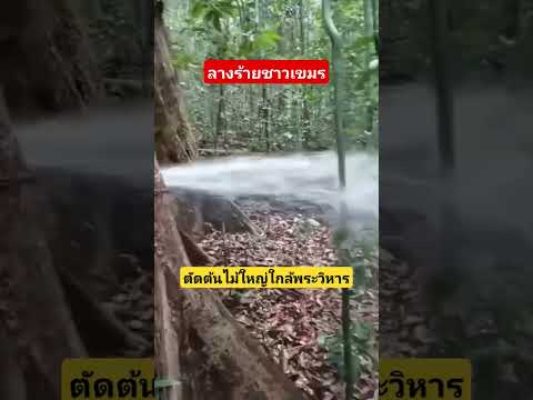 หนุ่มเขมรตัดต้นไม้น้ำทะลักไหลออกอย่างรุนแรง
