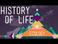 Exploring the Evolution of Life on Earth