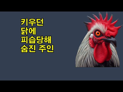 키우던 닭에 피습당해 숨진 주인