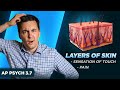 Exploring the Sensation of Touch and Skin Layers