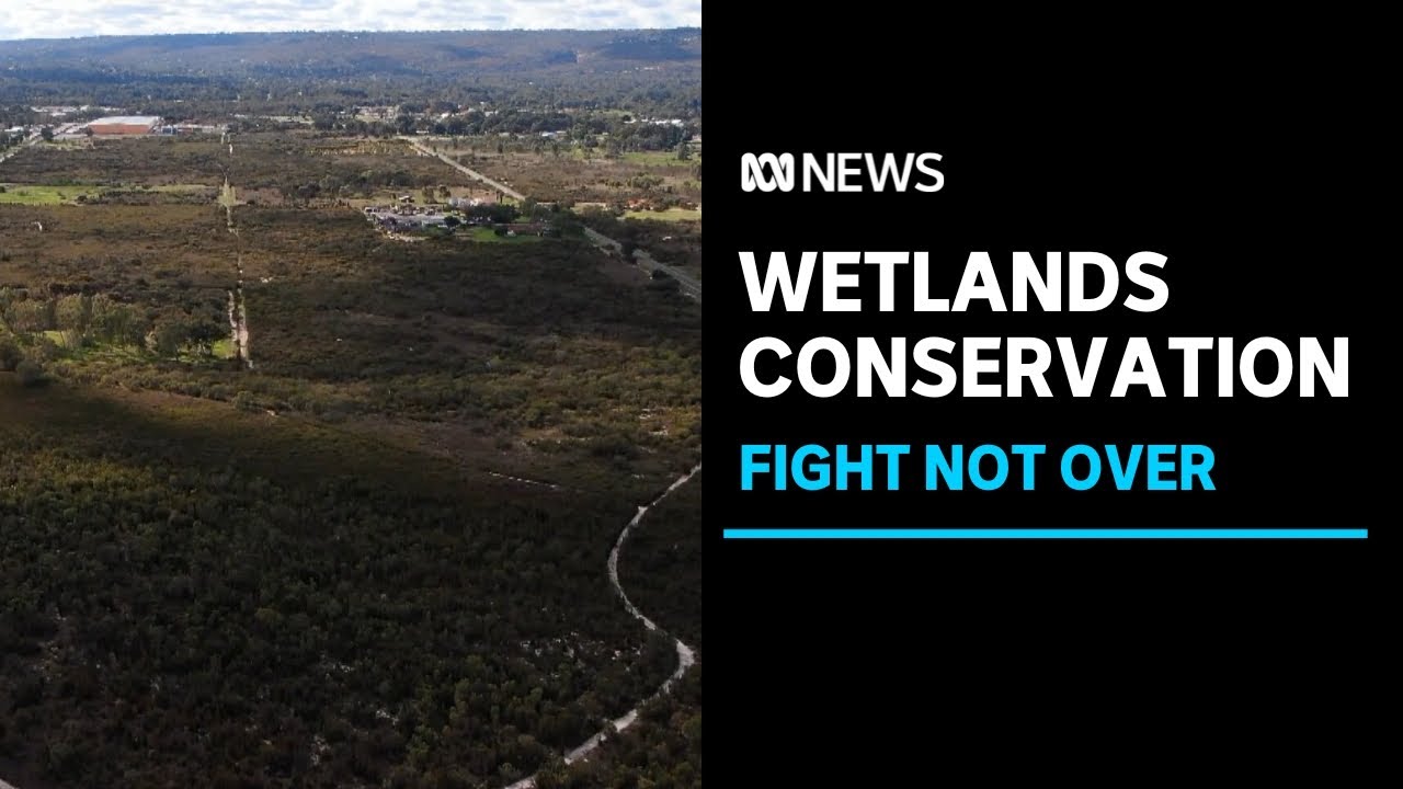 ‘Internationally significant’ wetlands under threat from industrial plans | ABC News