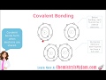 Covalent Bonding and Molecular Compounds
