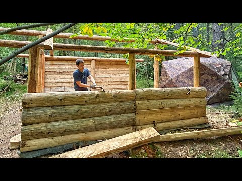 The construction of a log cabin in the wild forest - the construction of walls from an old dugout