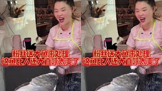 粉丝送大鱼来处理，这鱼比人都大太爽了！