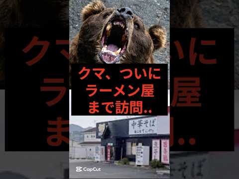 クマ、ついにラーメン屋訪問　#クマ #猟友会 #ヒグマ