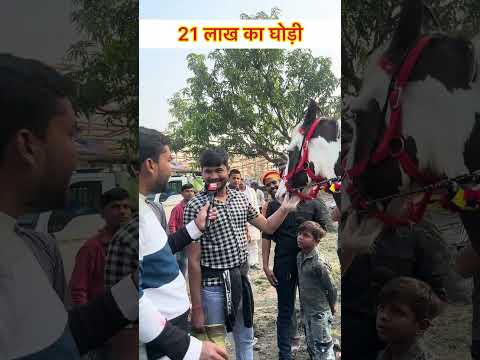 21 लाख का घोड़ी