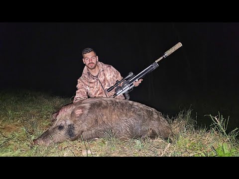 QUESO DE CERDO SALVAJE!! 🐖🐽 RIQUISIMO! CAZA Y COCINA!