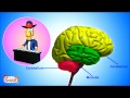 Exploring the Nervous System for Kids