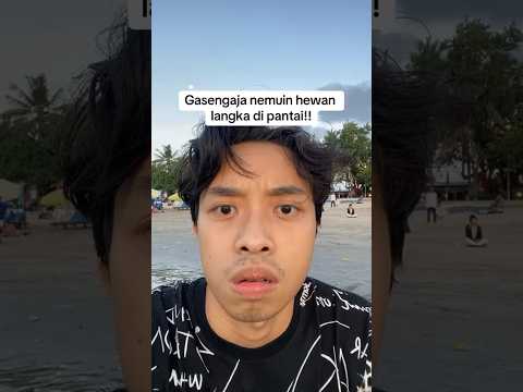 NEMUIN HEWAN LANGKA DI PANTAI!???? #shorts