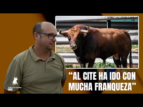 Toros en España Play | El ganadero Sergio Centelles explica la actuación de su toro 'Jaqueco'