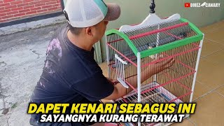 DAPET KENARI MURAH DARI FB‼️SEBAGUS INI KALAU DIRAWAT PASTI JADI MAHAL