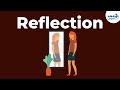 Understanding Light and Vision