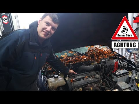 Ethanol im Ford Focus | Dumm Tüch