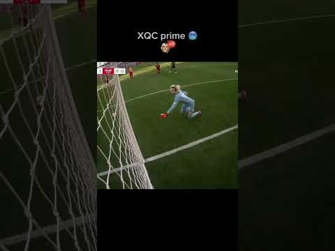 XQC goalkeeper highlight 😂 #goat #xqc #charitymatch #goalkeeper #football #funny #fyp