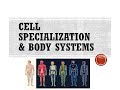 Exploring Cell Specialization and Body Systems