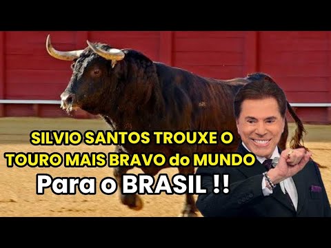 SILVIO SANTOS e as PEGADINHAS com o TOURO MAIS BRAVO DO MUNDO