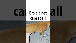 bro didn't care
