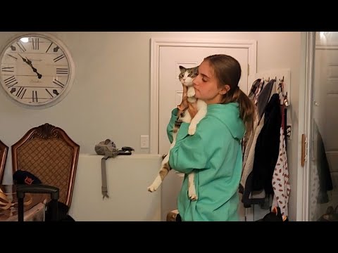 Вот мы и дома, как будто никуда и не ездили