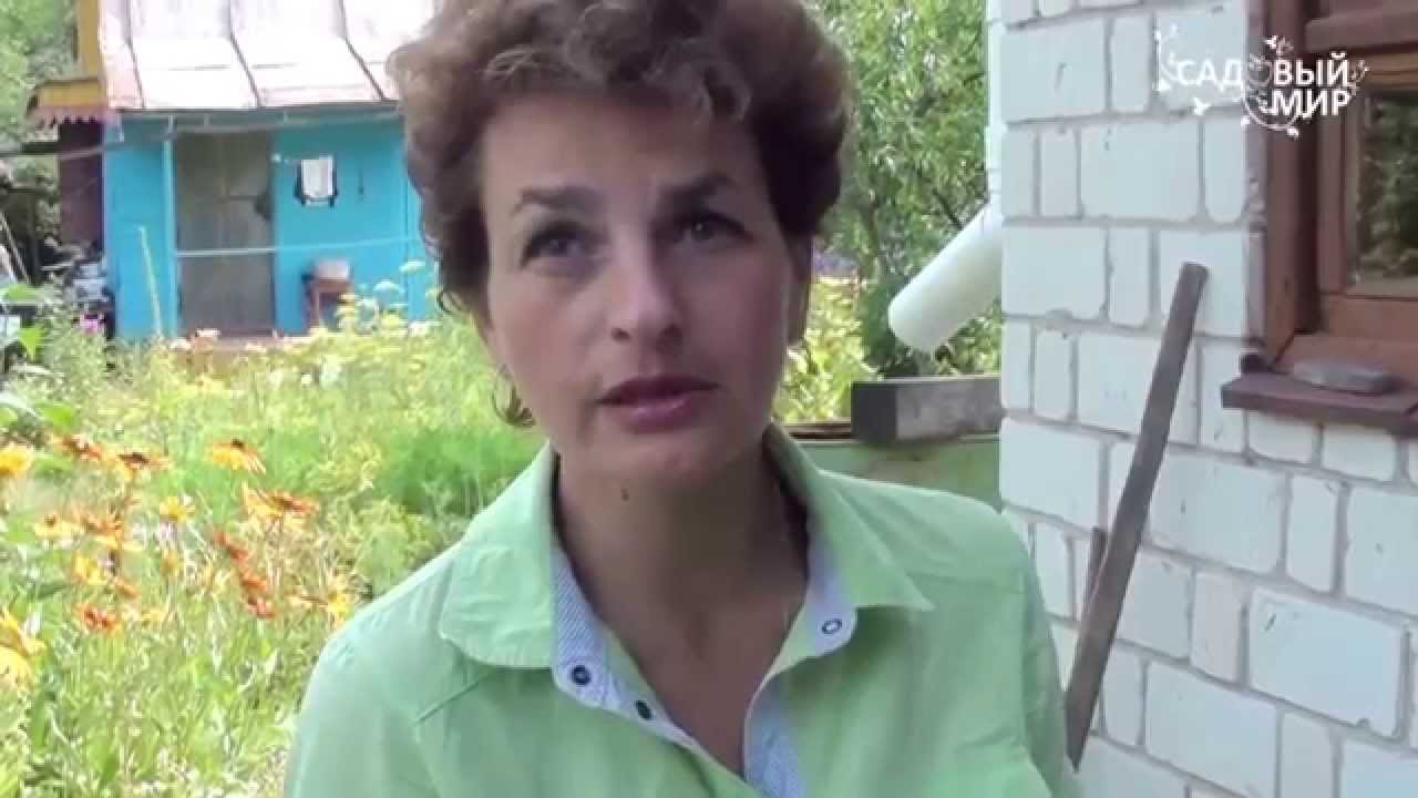 Экономичная, удобная электросушилка для грибов овощей и ягод