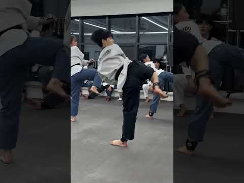 고려 1단락 #ts #tkd #taekwondo #poomsae #고려 #koryo #rhythm #power #speed #kick #sidekick #double #sport