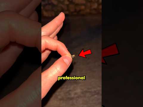 Professional Mosquito Hater!