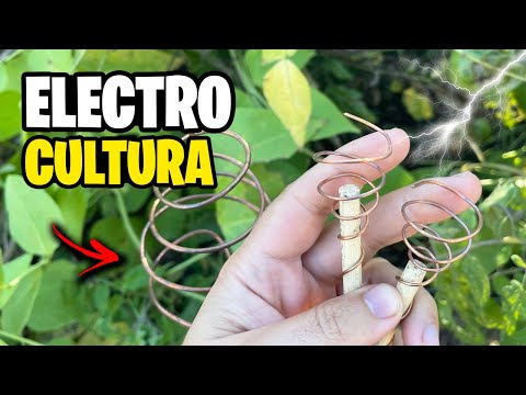 ¿Esto FUNCIONA? ⚡ El PODER de la ELECTROCULTURA para Cultivos Mas GRANDES | La Huerta de Ivan