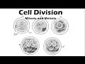 Cell Division: Mitosis and Meiosis