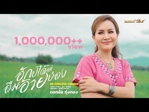 ฮักบ่ได้แต่ลืมอ้ายบ่ลง  - ดอกอ้อ ทุ่งทอง [RE-ARRANGE VERSION]