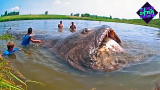 10 Animales Aterradores Encontrados En Ríos