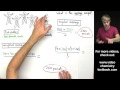 Understanding Weighted Averages Concepts