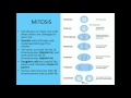 Exploring Genetics Concepts in Biology