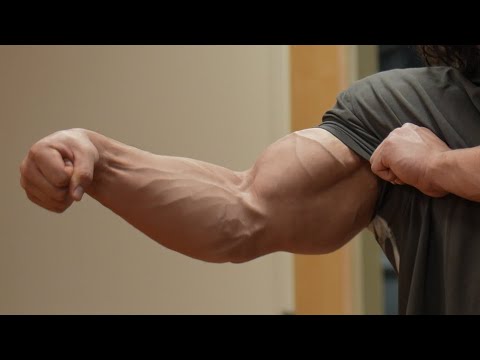 The Bulk Day 108 - Forearms and Calves - Work a Muscle To Grow a Muscle