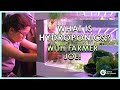Exploring Hydroponics Fundamentals