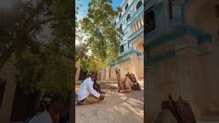 جو حطاب في اليمن السعيد  Joe Hattab In Yemen Happy