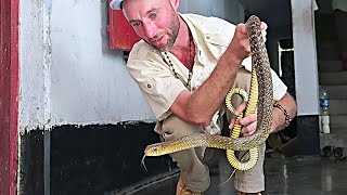 House Call to Remove a 6 Ft Rat Snake