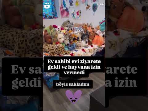 NERDEN ÇIKTI BUNLAR
