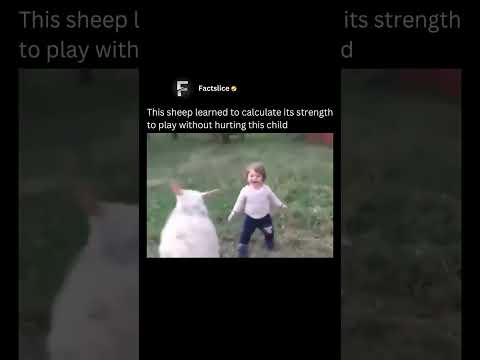 Bro 😎 Is Good In Math #funny #animalshorts