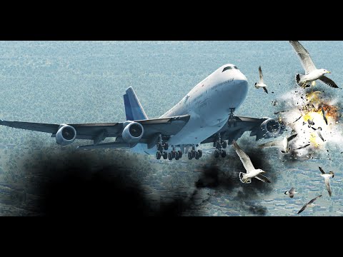 B747 Hits Birds During Landing [XP11]