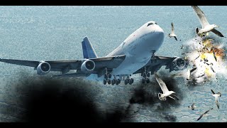 B747 Hits Birds During Landing [XP11]