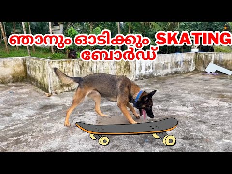അല്ല പിന്നെ നമ്മളും ഓടിക്കും skateboard...😂😍🛹|LEOLAIKA|chottuz