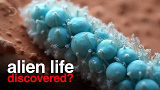 Life on Mars Confirmed? NASA Reveals Shocking Evidence