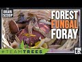Mushroom Exploration and Mycology