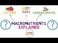 Understanding Macronutrients