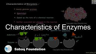 Characteristics of Enzymes