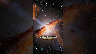The Galaxy Shaped by a Giant Collision
