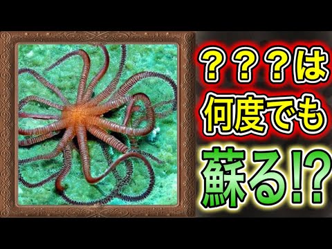 【不死身の生き物？】プロキシブエターナーについてご紹介