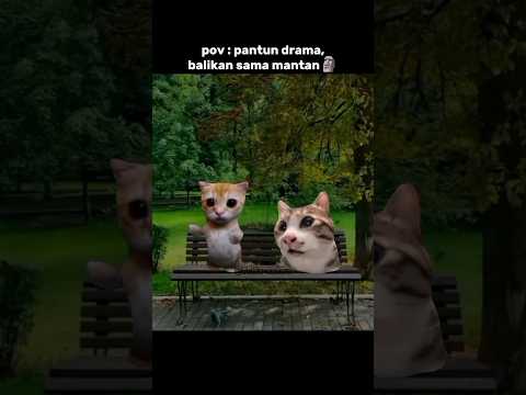 gak mau balikan🗿#cat #comedy #lucu #kucinglucu #catmemes #imut #funny #shorts #lawak #catlovers