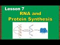 Protein Synthesis and Transcription Concepts